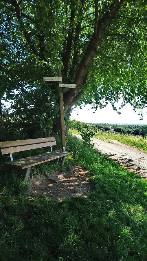 Kaefernberg - Weinhotel Alzenau in Unterfranken Hotel