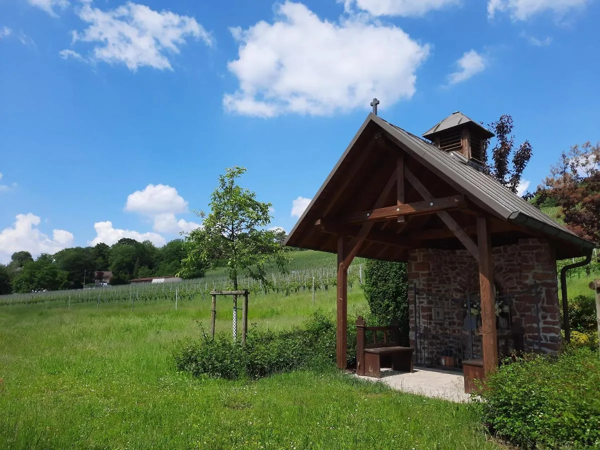 Kaefernberg - Weinhotel Alzenau in Unterfranken Hotel